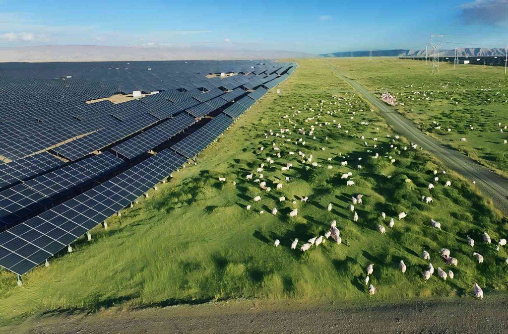 solar panels for farm buildings